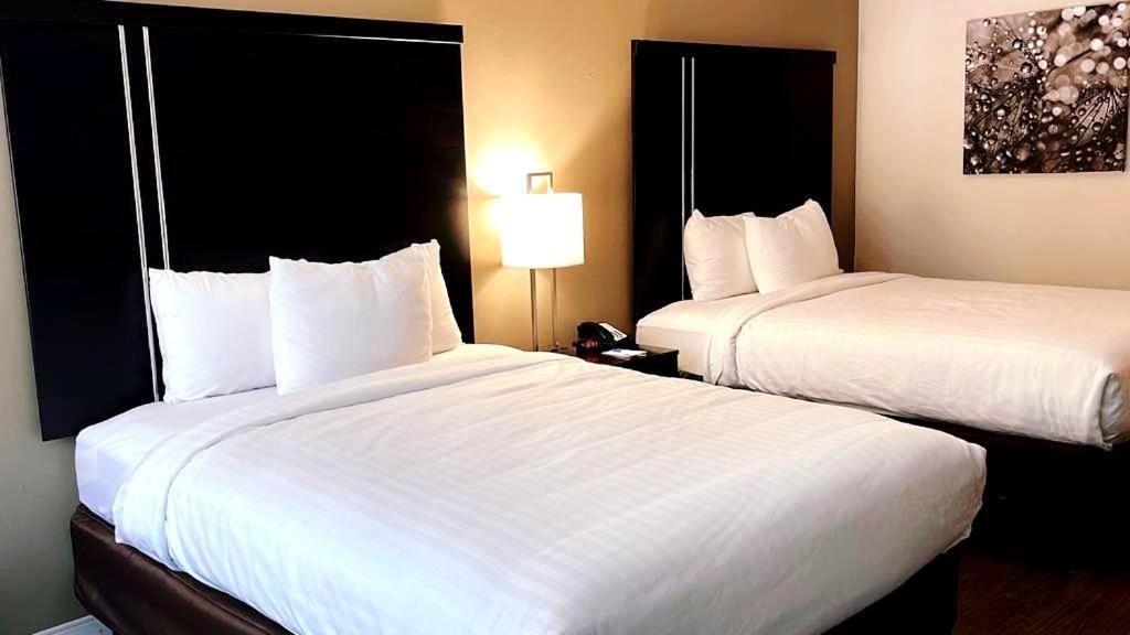Clarion Inn & Suites Florence Extérieur photo