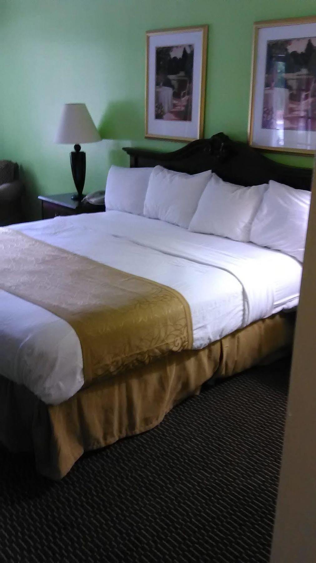 Clarion Inn & Suites Florence Extérieur photo